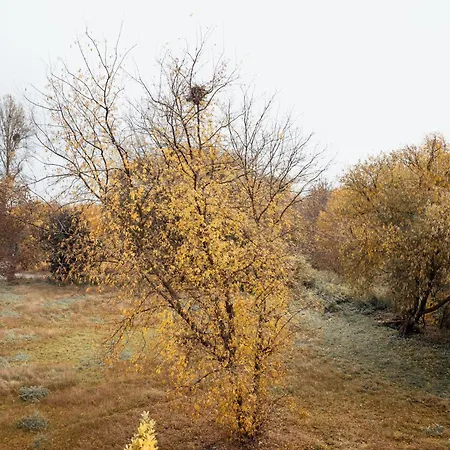 Lubelski Kadr Διαμέρισμα