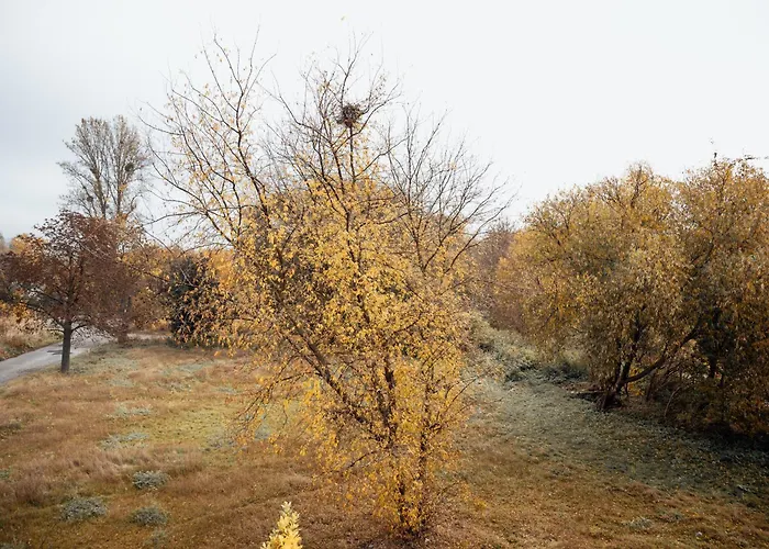 Lubelski Kadr Apartment